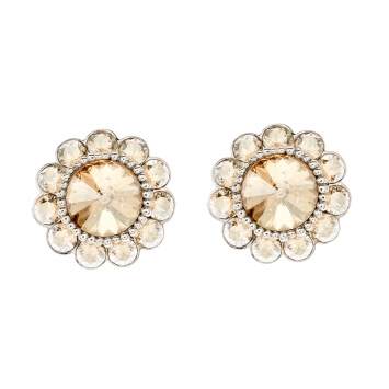 Pre Owned Miu Miu Brown Crystal Flower Silver Tone Clip-on Stud Earrings