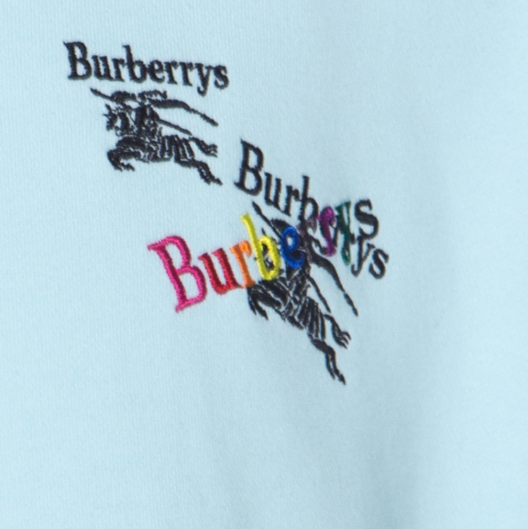 Pre Owned Burberry Light Blue Cotton Knit Equestrian Logo Hoodie L