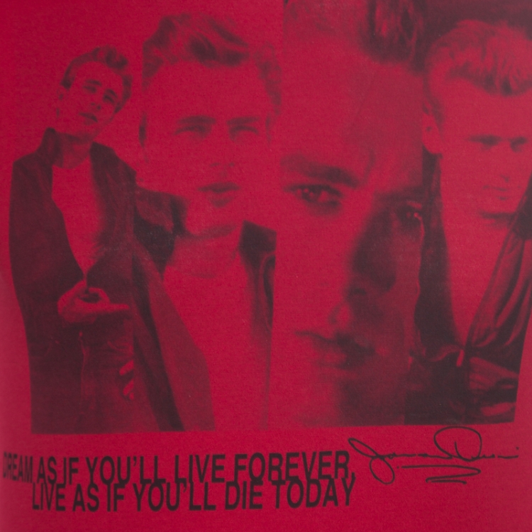 Pre Owned Dolce and Gabbana Red James Dean Icon Printed Short Sleeve T-Shirt XS