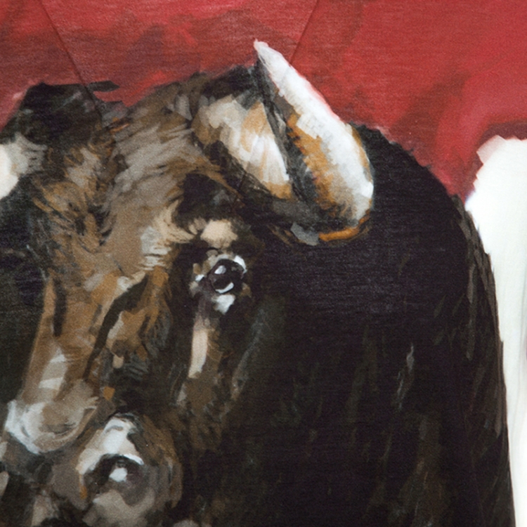 Pre Owned Dolce and Gabbana Red Bull Print Cotton Crew Neck T-Shirt M