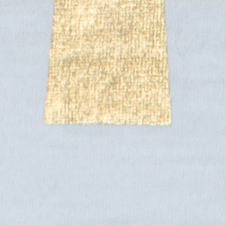 Pre Owned Dsquared2 White Cotton Gold Leaf Canada T-shirt M