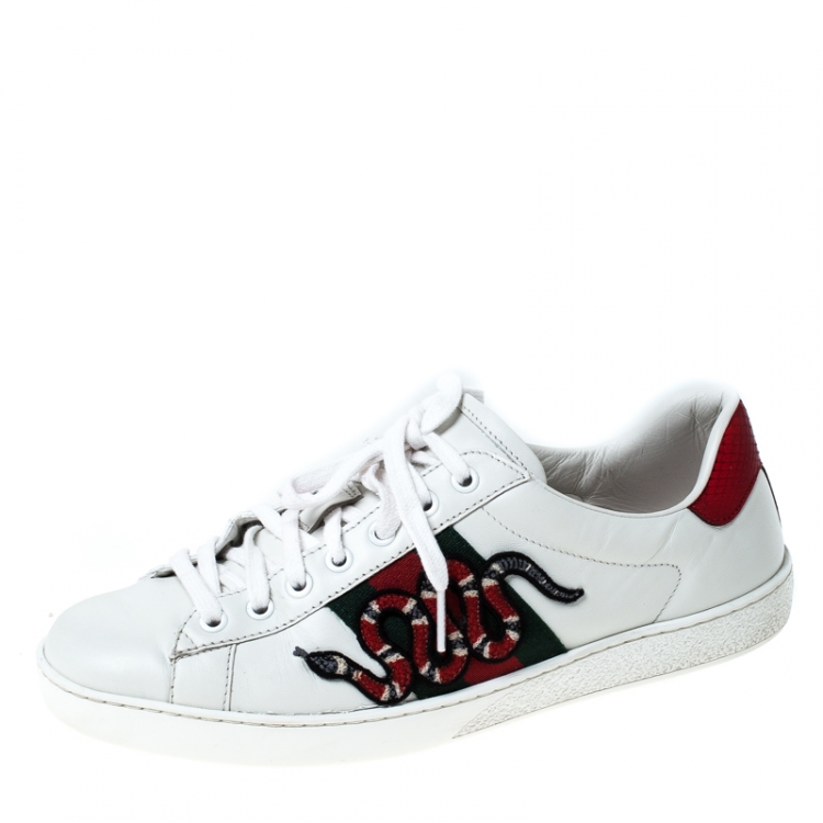 gucci watersnake