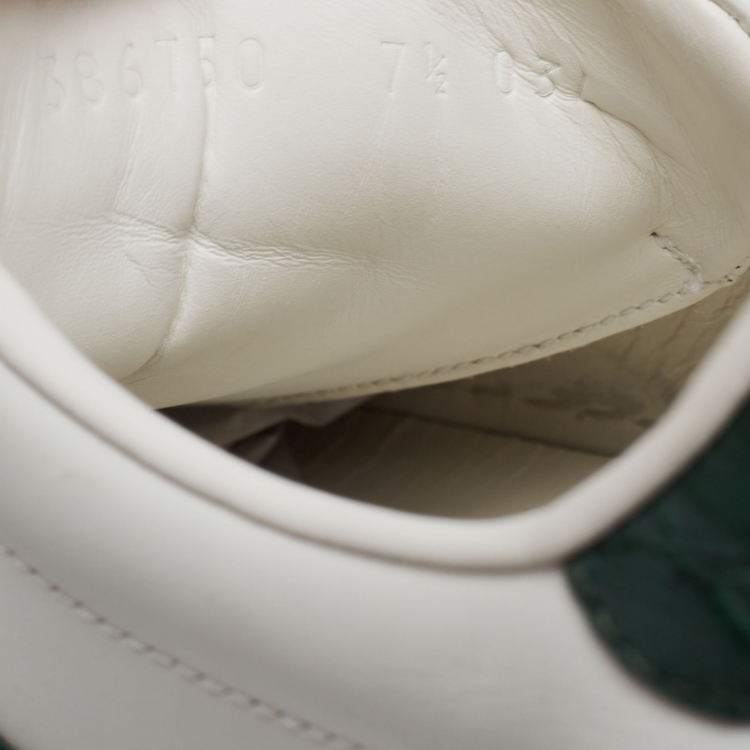 Pre Owned Gucci White Leather And Crocodile Ace Web Low Sneakers Size 41.5