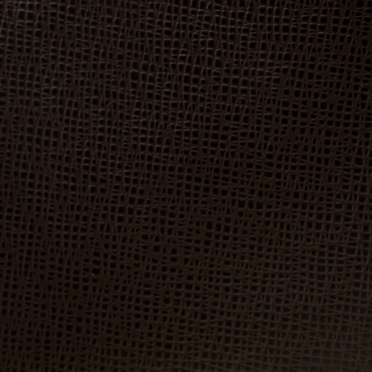 Pre Owned Louis Vuitton Terre Taiga Leather Pochette Baikal Clutch