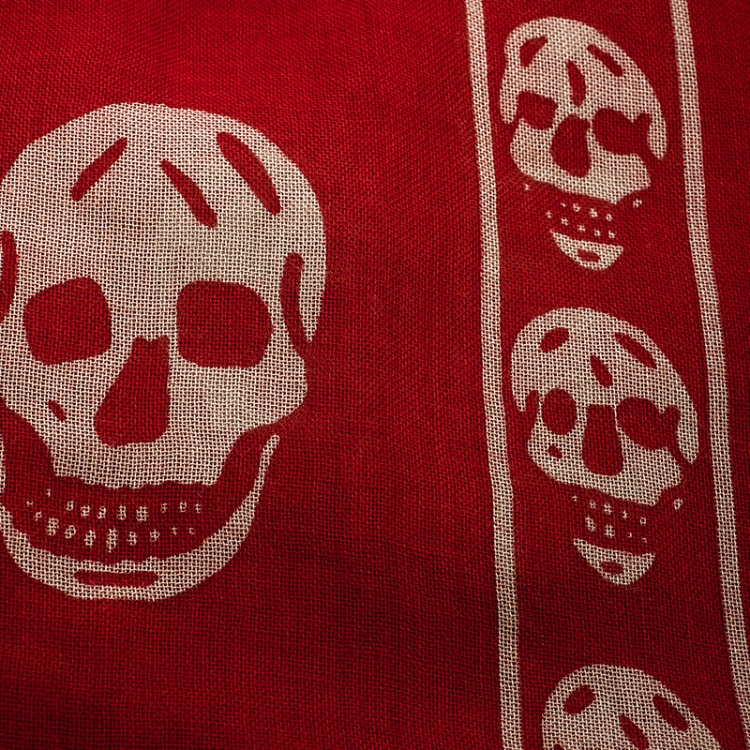 Pre Owned Alexander McQueen Red Skull Print Modal Cashmere Fringed Scarf 
