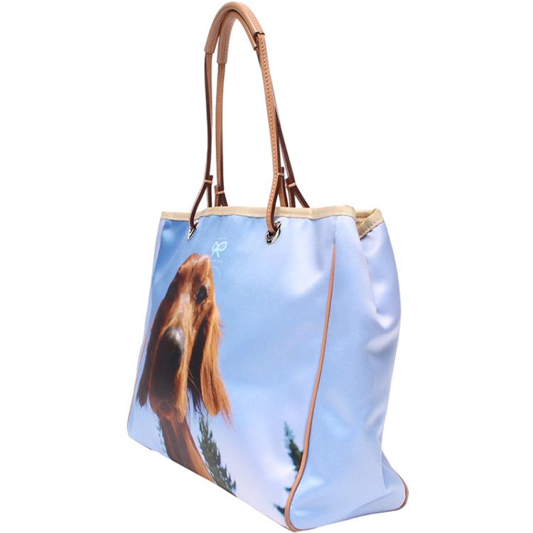 New Anya Hindmarch 2009 Seasonal Tote Shopper Bag Canvas Electric Blue Brown