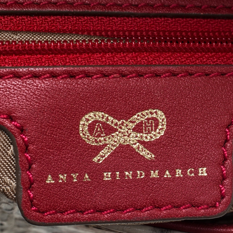Pre Owned Anya Hindmarch Red/Cream Python,Leather and Stingray Stripy Gracie Flap Bag