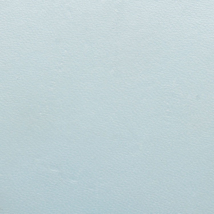 Pre Owned Bottega Veneta Light Blue Leather iPhone 14 Pro Max Andiamo Strap Case