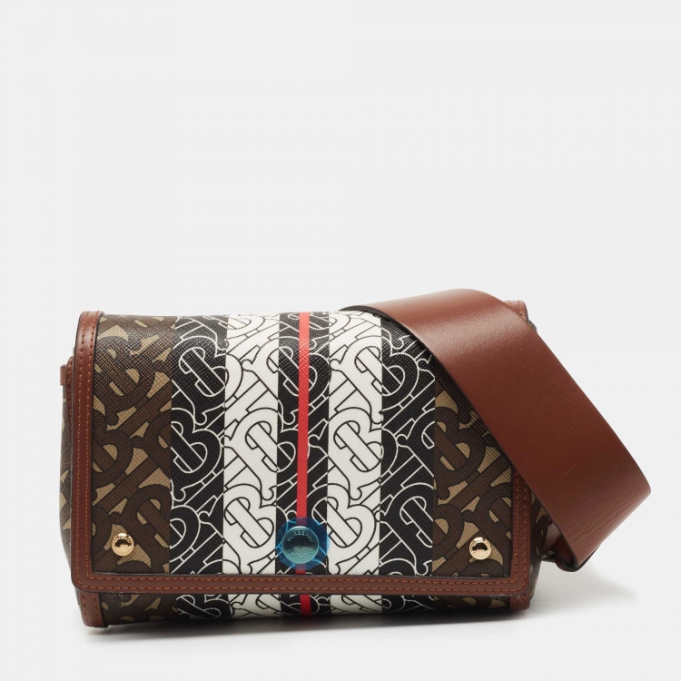 Burberry Brown TB Monogram Stripe Coated Canvas and Leather