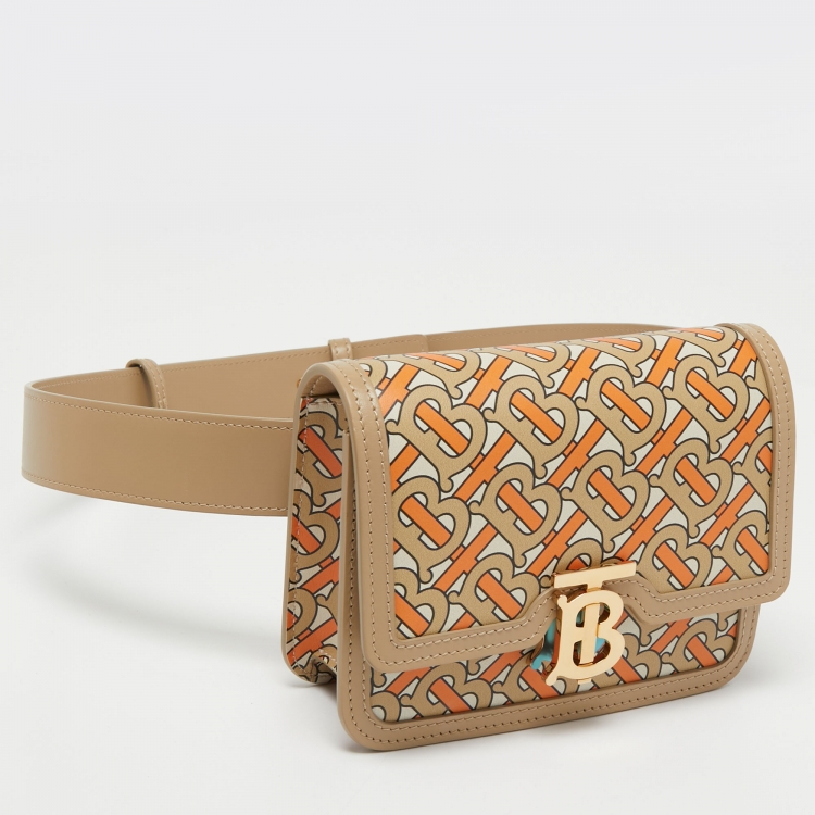 Pre Owned Burberry Multicolor TB Monogram Leather Mini Belt Bag