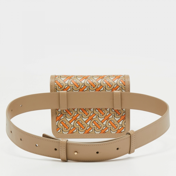 Pre Owned Burberry Multicolor TB Monogram Leather Mini Belt Bag