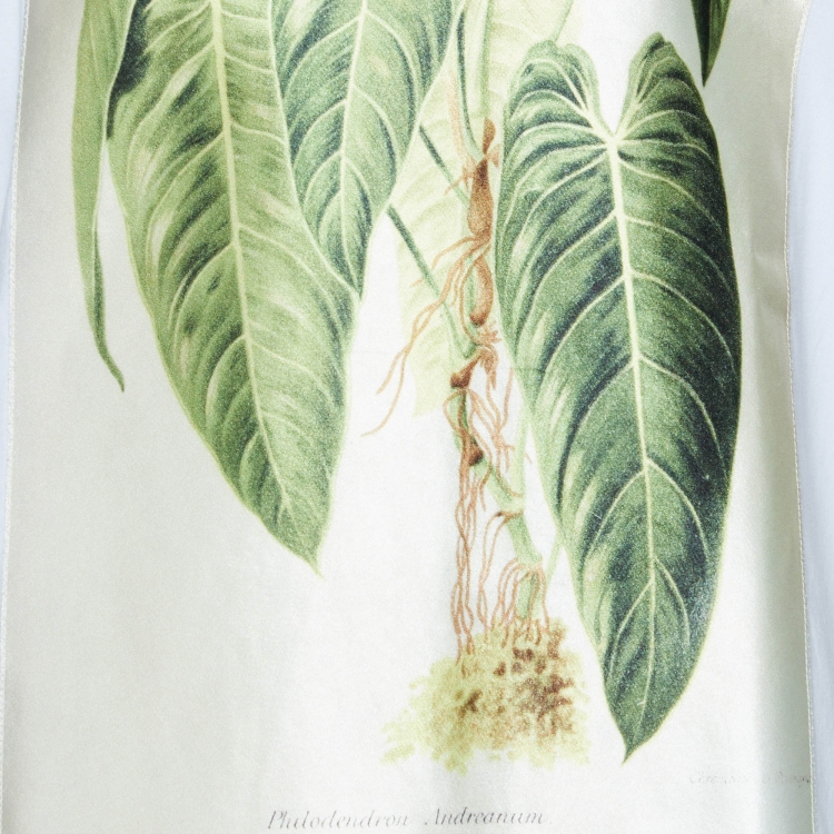 Pre Owned Burberry White Cotton Botanical Sketch Appliqued T-Shirt XS