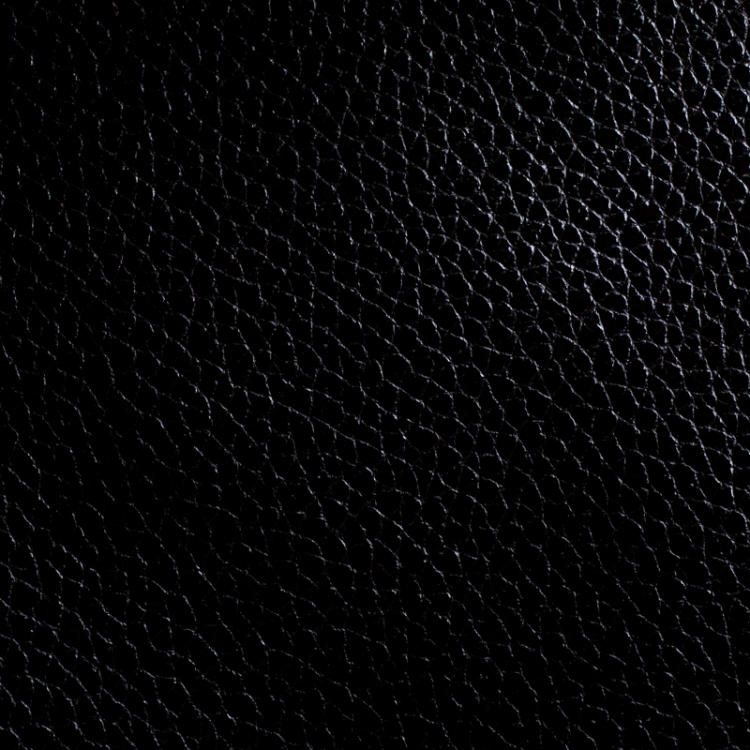 Pre Owned Carolina Herrera Black Leather Minuetto Flap Top Handle Bag