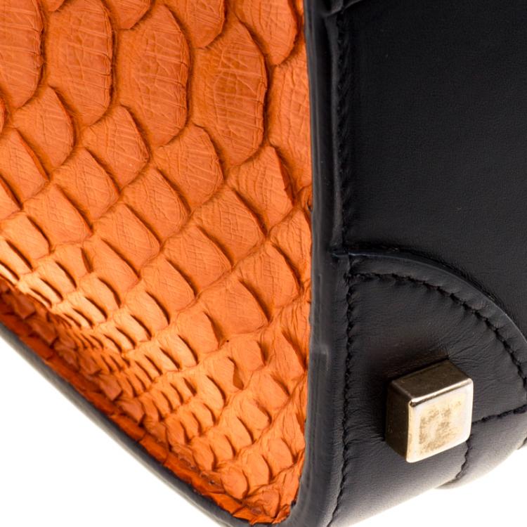 Pre Owned Celine Tri Color Python and Leather Micro Luggage Tote