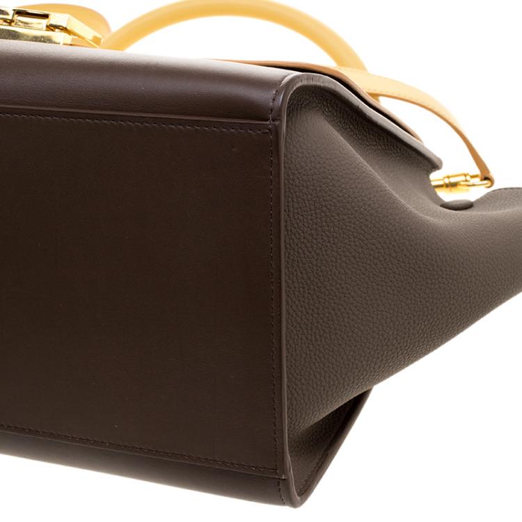 Pre Owned Celine Brown/Mostard Leather Small Trapeze Tote