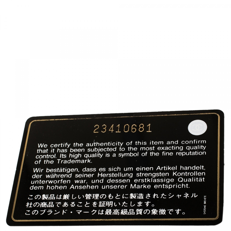 Pre Owned Chanel Black Quilted Lambskin Leather Daily Supple Backpack