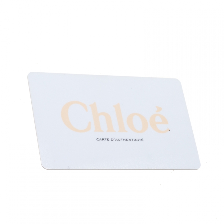Pre Owned Chloe Brown Leather and Suede Small Faye Shoulder Bag 