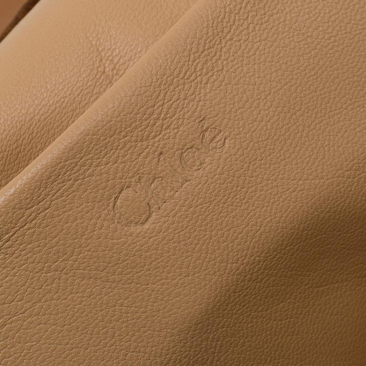 Pre Owned Chloe Brown Python Medium Elsie Shoulder Bag