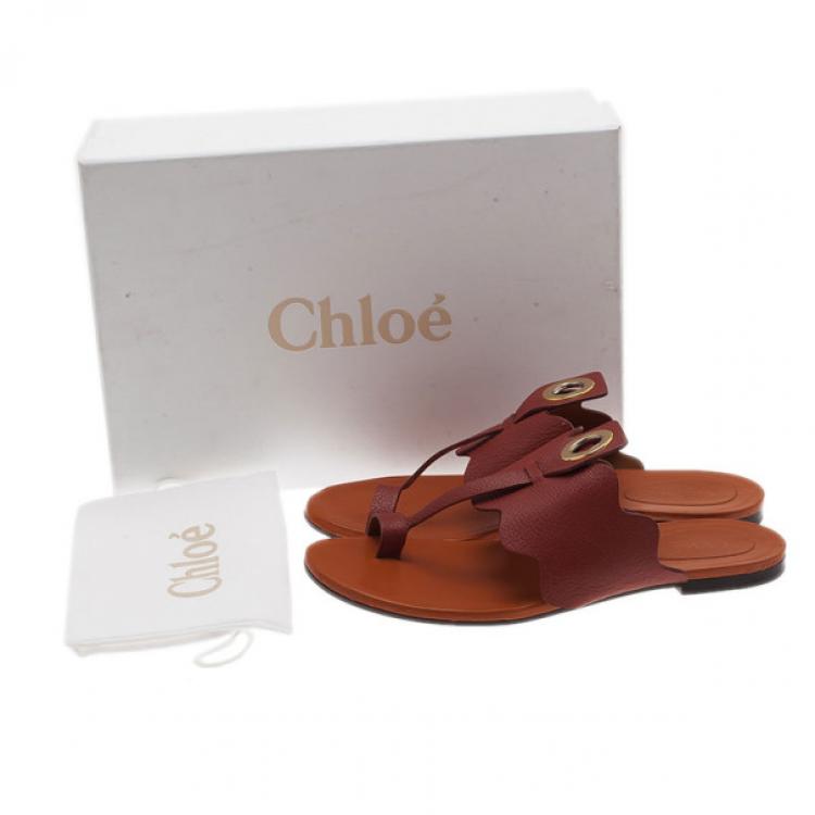 Pre Owned Chloe Brown Leather Toe Ring Sandals Size 37