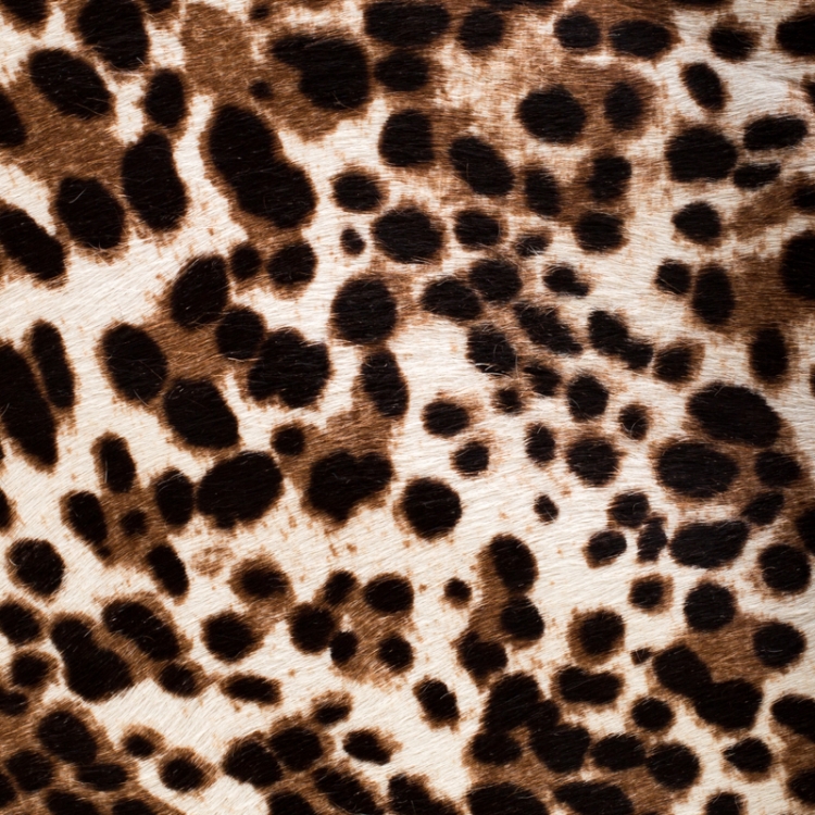Pre Owned Christian Louboutin Beige/Black Leopard Print Calfhair and Leather Passage Shoulder Bag