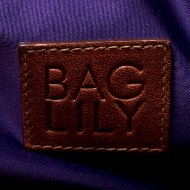 Pre Owned Dolce and Gabbana Brown Leather Embellished Lily Satchel