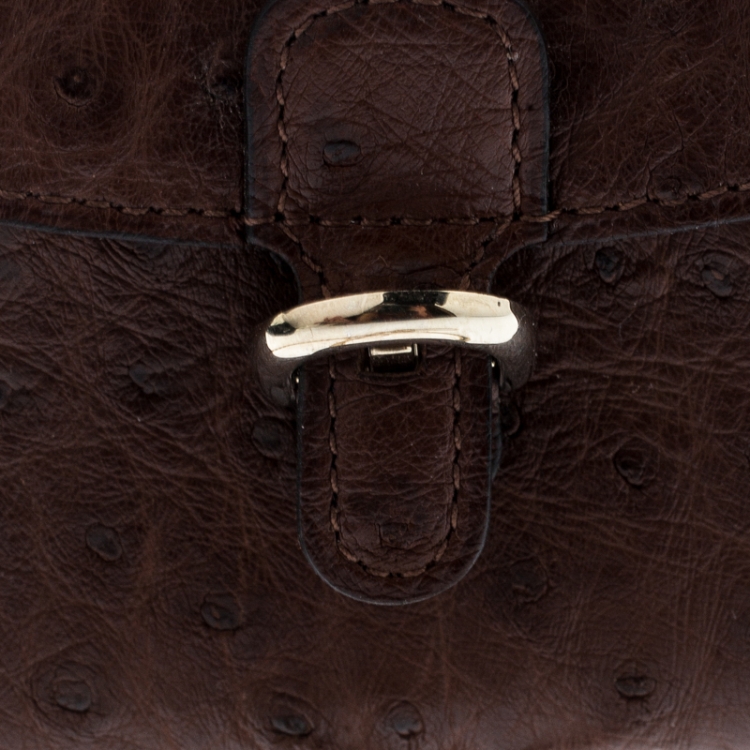 Pre Owned Delvaux Brown Ostrich Brilliant Bag Charm
