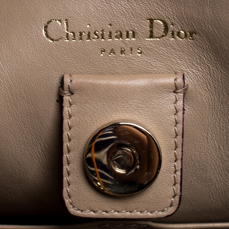 Pre Owned Dior Gold Leather and Python Medium Diorissimo Shopper Tote