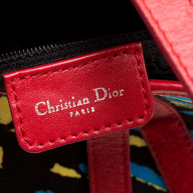 Pre Owned Dior Multicolor Fabric Bob Marley Saddle Bag