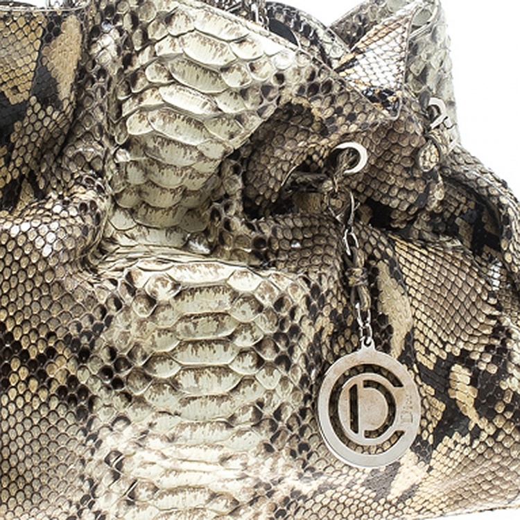 Pre Owned Dior Beige Python Le Trente Hobo