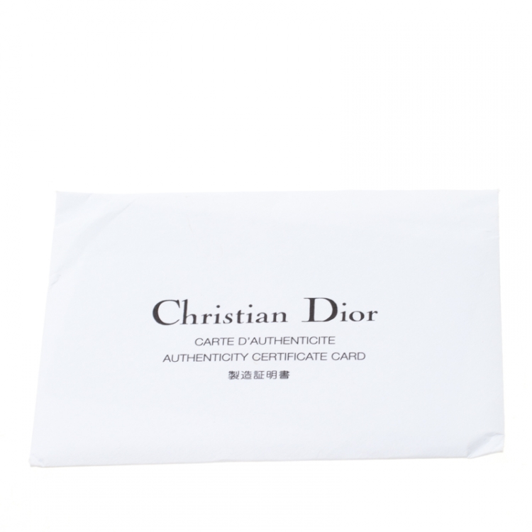 Pre Owned Dior Tan Leather Rebelle Hobo