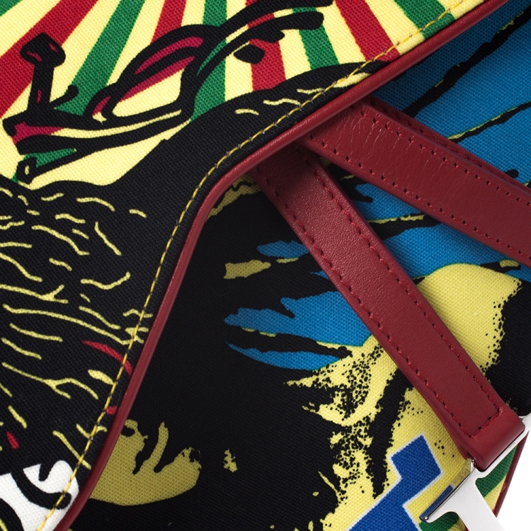 Pre Owned Dior Multicolor Fabric Bob Marley Saddle Bag