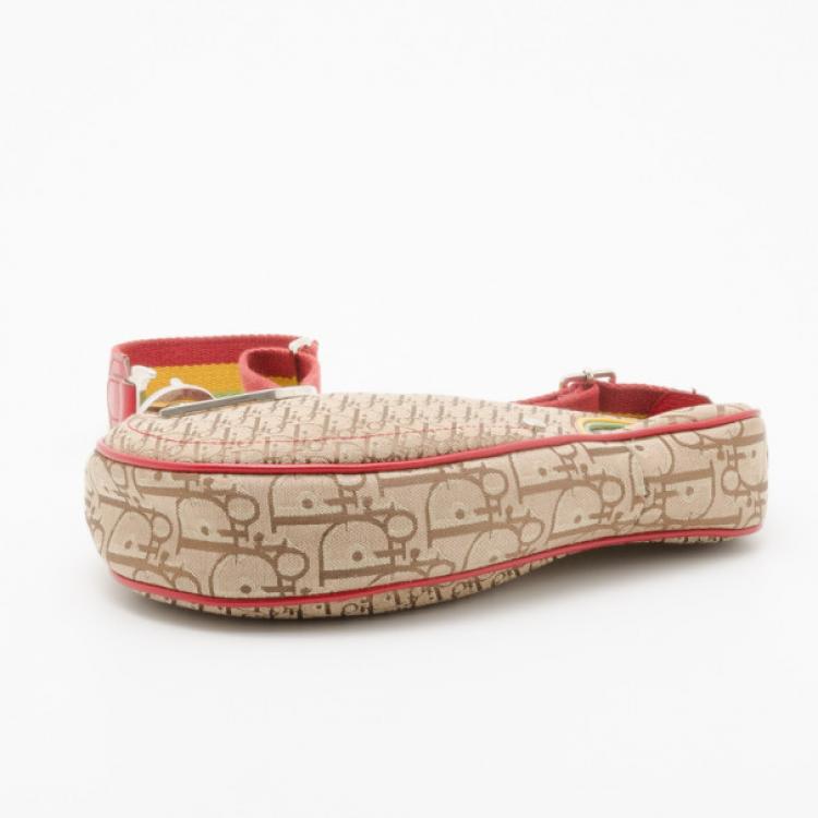 مملوكة مسبقًا Dior Rasta Collection Saddle Bag