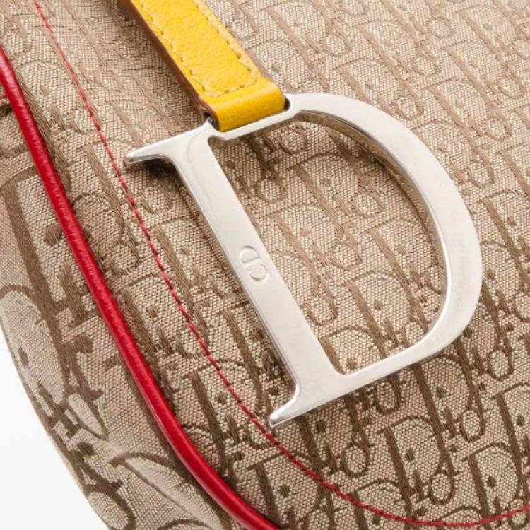 مملوك ة مسبقًا Dior Rasta Collection Saddle Bag