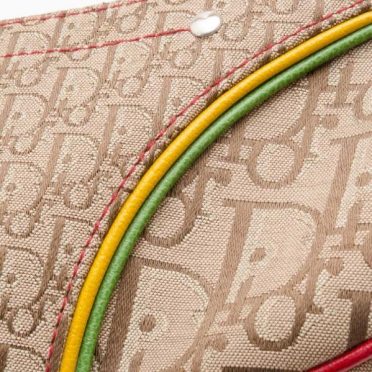 مملوكة مسبقًا Dior Rasta Collection Saddle Bag