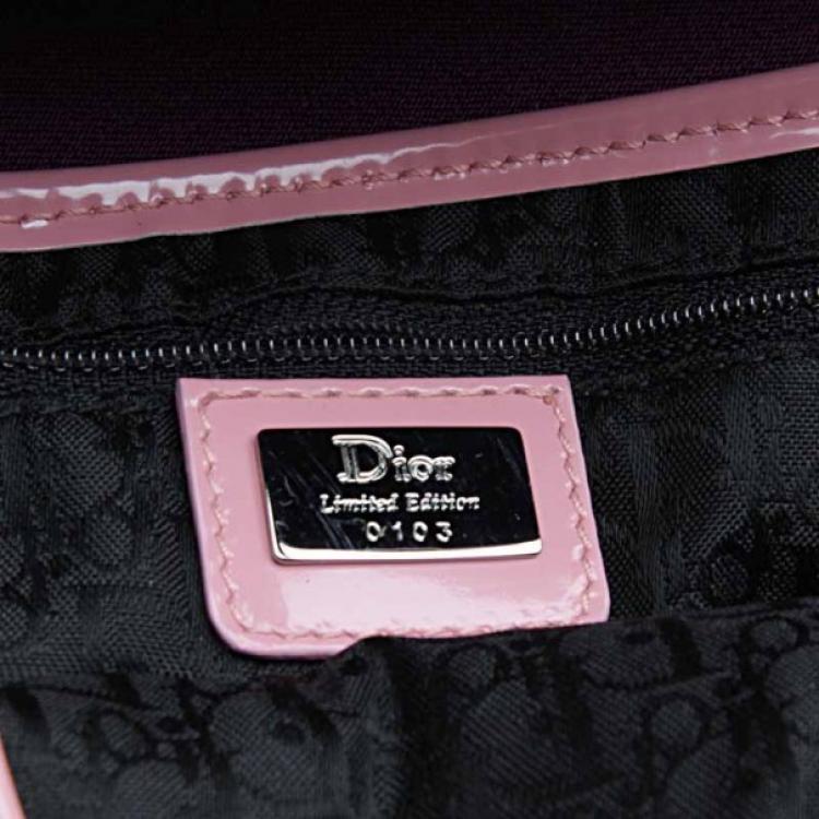 مملوكة مسبقًا Dior Limited Edition Embroidered Saddle Bag