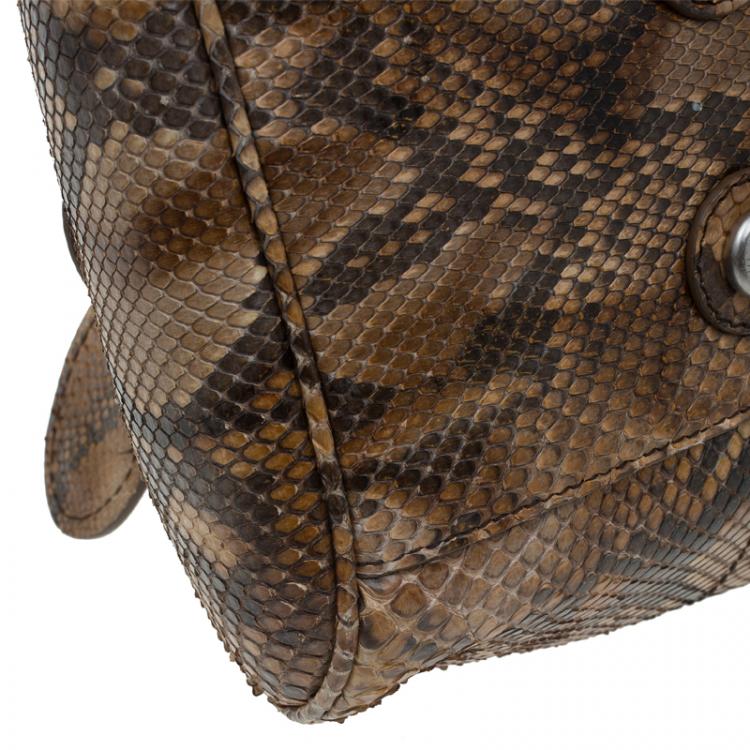 Pre Owned Dior Brown Python My Dior Frame Bag
