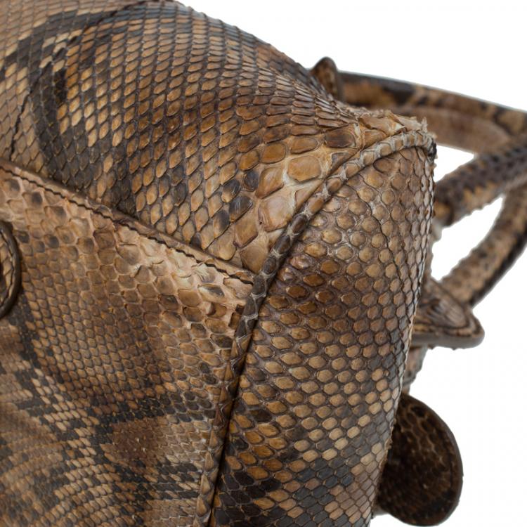 Pre Owned Dior Brown Python My Dior Frame Bag
