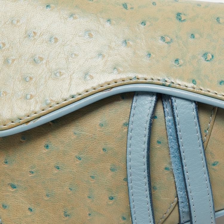 Pre Owned Dior Light Blue Ostrich Embossed Leather Mini Crystals Embellished Saddle Bag
