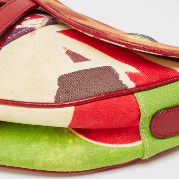 Pre Owned Dior Multicolor Printed Fabric and Leather Limited Edition 0756 Victim Saddle Bag