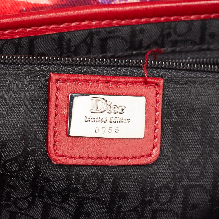 Pre Owned Dior Multicolor Printed Fabric and Leather Limited Edition 0756 Victim Saddle Bag
