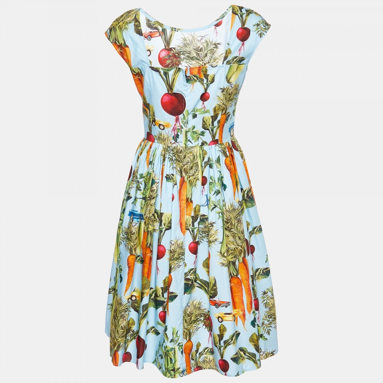Pre Owned Dolce & Gabbana Blue Vegetable Print Cotton Midi Dress S