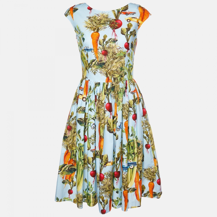 Pre Owned Dolce & Gabbana Blue Vegetable Print Cotton Midi Dress S