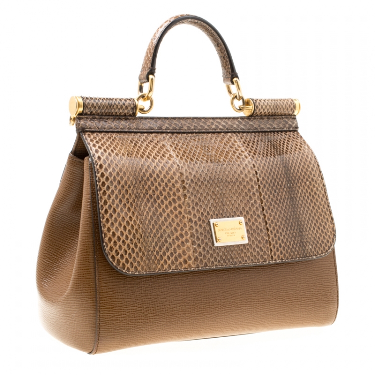 Pre Owned Dolce and Gabbana Brown Leather and Snakeskin Medium Miss Sicily Top Handle Bag