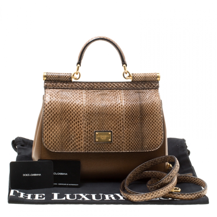 Pre Owned Dolce and Gabbana Brown Leather and Snakeskin Medium Miss Sicily Top Handle Bag