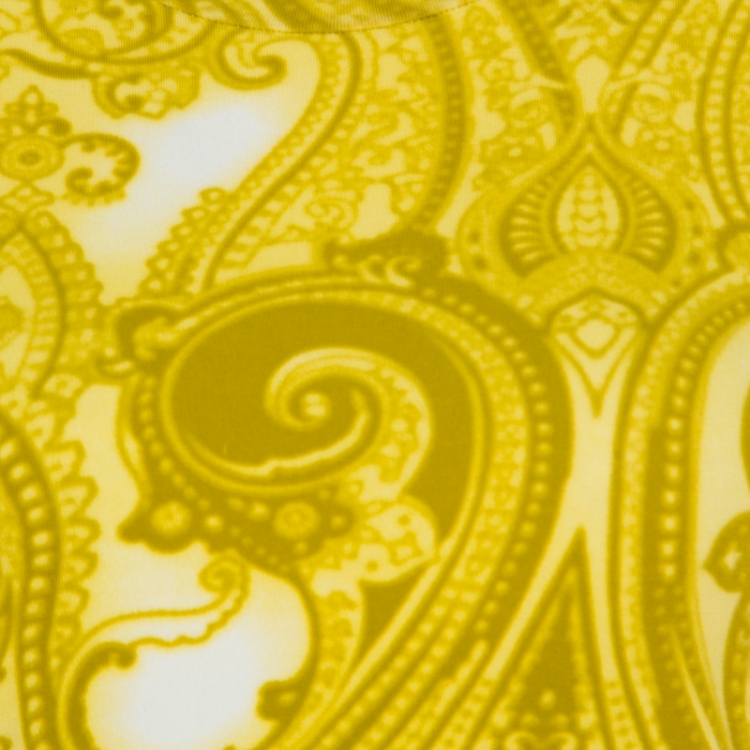 Pre Owned Etro Green Paisley Printed Cotton Crew Neck T-Shirt S