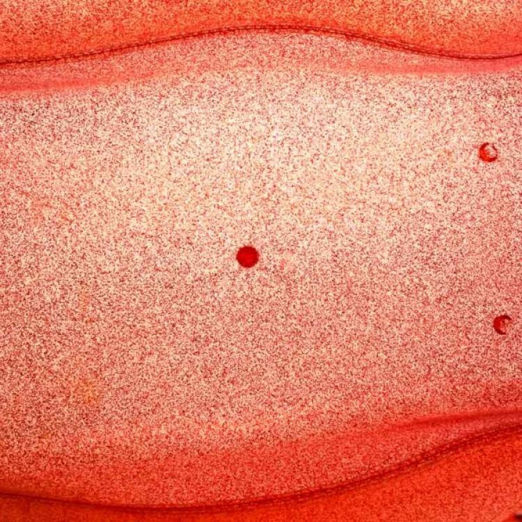 Pre Owned Furla Red Candy Satchel