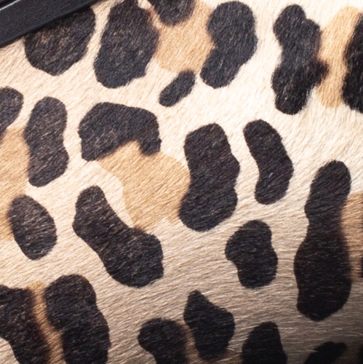 Pre Owned Gianfranco Ferre Brown/Beige Leopard Print Calfhair and Leather Frame Top Handle Bag