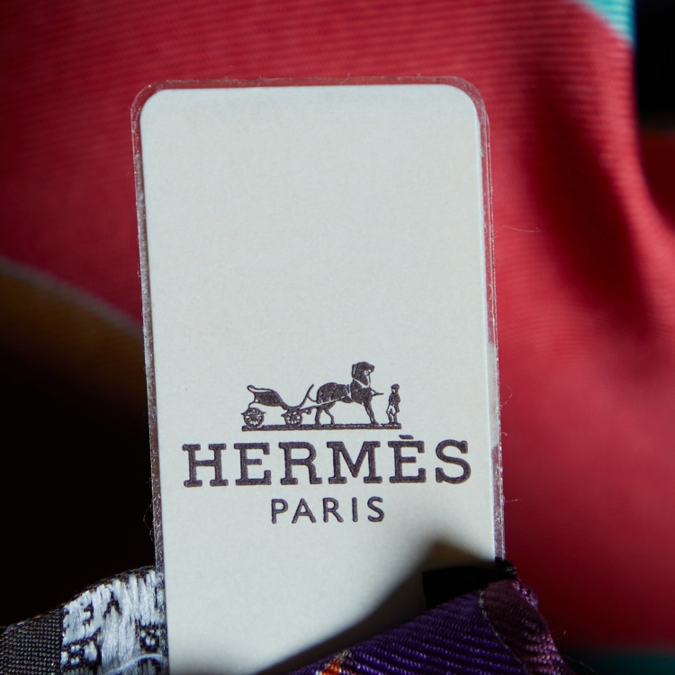 Pre Owned Hermes Multicolor Perspective Cavaliere Silk Scarf