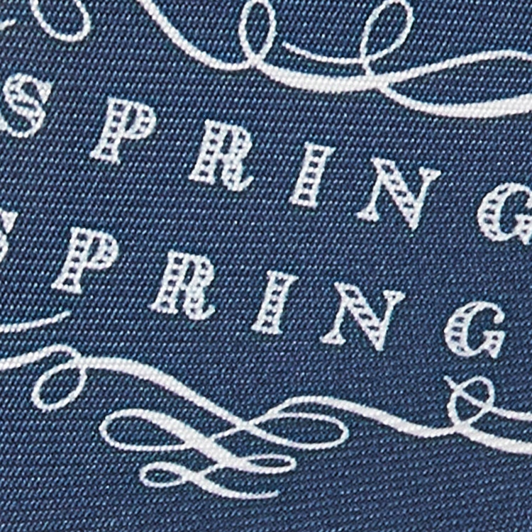Pre Owned Hermes Navy Blue Springs Spring Silk Twilly