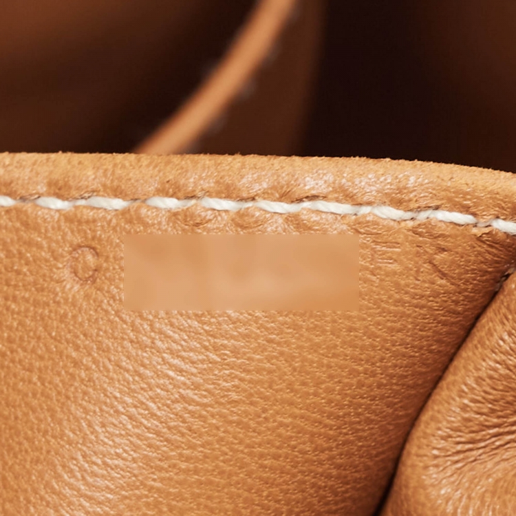 مملوكة مسبقًا Hermes Gold Evercolor Leather Palladium Finish Toolbox 20 Bag